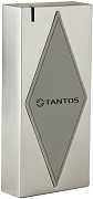 Tantos TS-RDR-E Metal (W-26) Считыватель