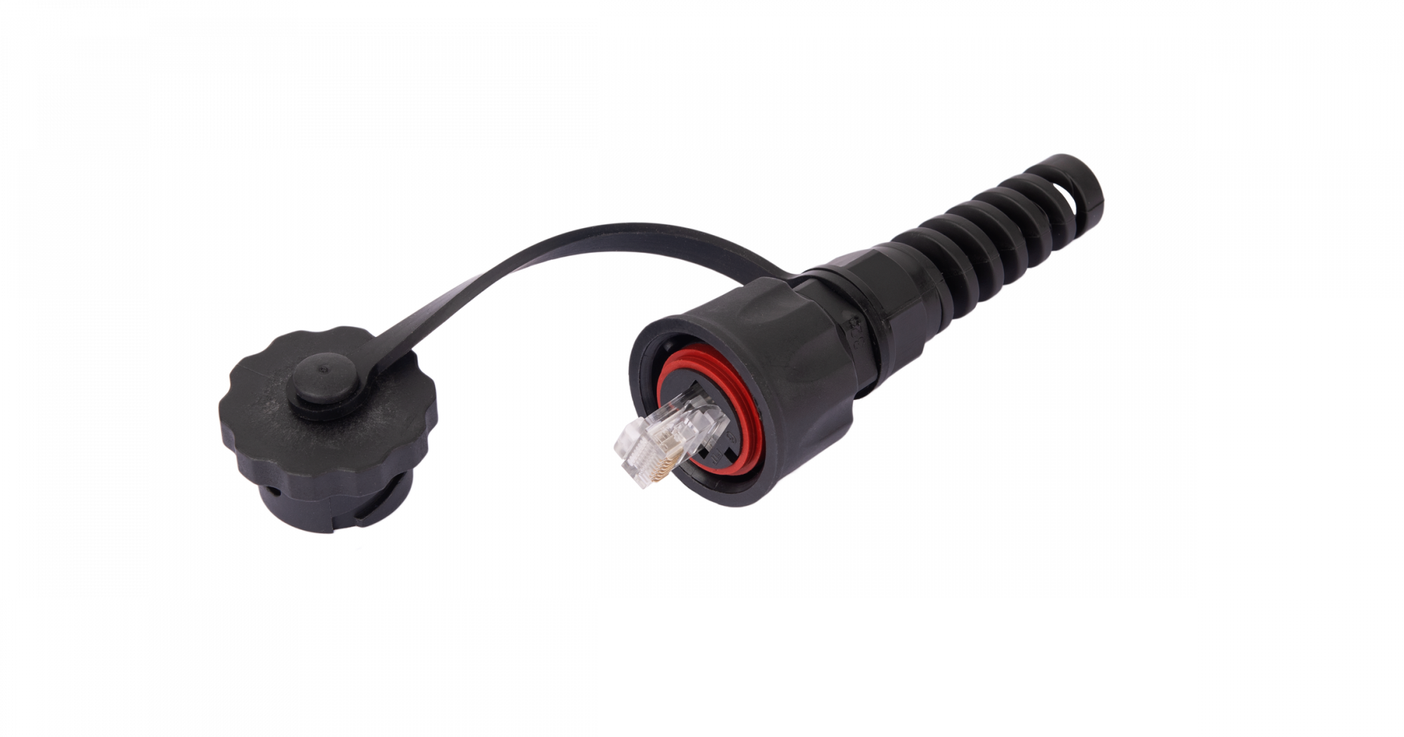 3192_neekran 3192_neekran