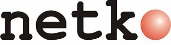 Netko Дверь для шкафа TS,T2 металл 42U Ширина 800 серая  Netko Дверь для шкафа TS,T2 металл 42U Ширина 800 серая