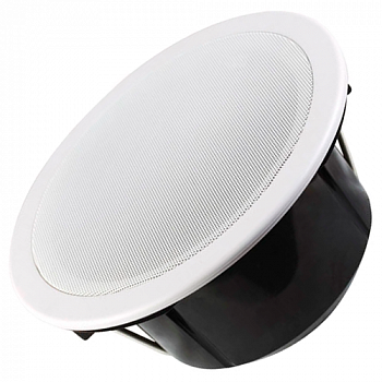 Tantos TSo-PW10k Громкоговоритель