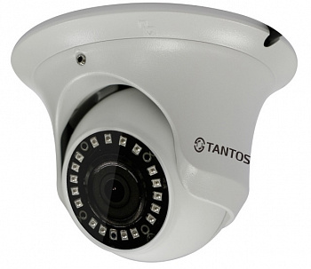Tantos TSi-Ee50FP видеокамера IP Tantos TSi-Ee50FP видеокамера IP