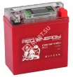 Red Energy DS 1205.1 Аккумуляторная батарея