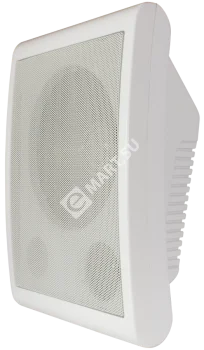 Tantos TSo-SW6a Громкоговоритель