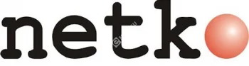 Netko Дверь для шкафа TS,T2 стеклянная 42U Ширина 600 черная 