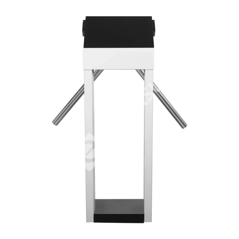 3v-model-a-mf-vid-szadi