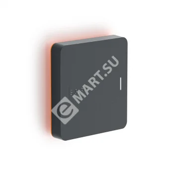 Считыватель Sigur MR100 Lite (MR1)