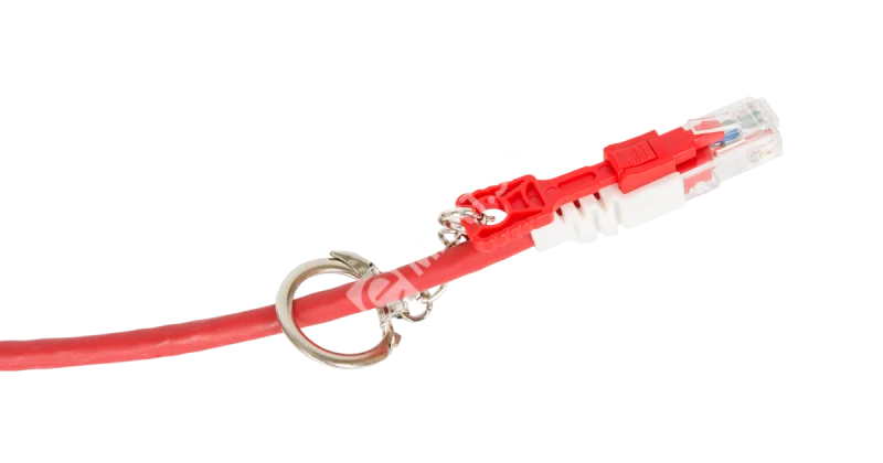 l0cwsigk5iiw1lb7enx2f7n2clo6w39f