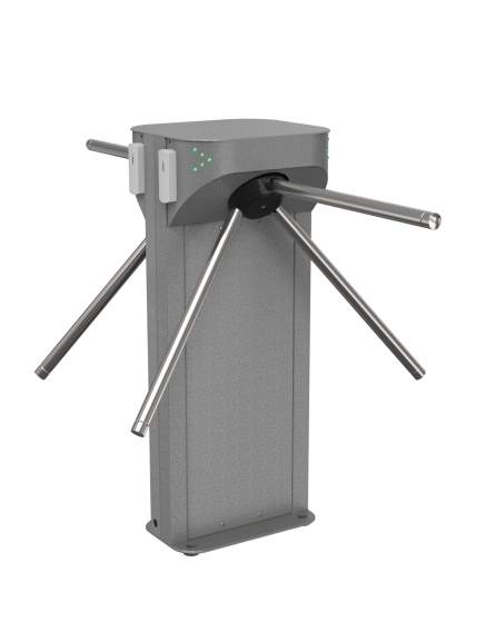 6-removebg-preview 6-removebg-preview